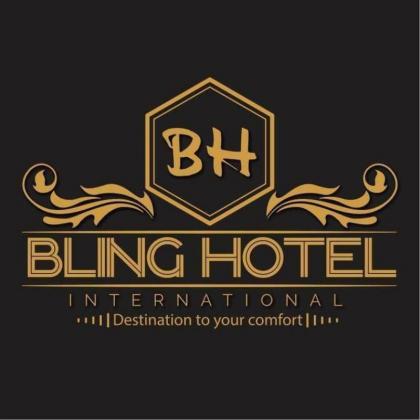 Bling International Hotel Multan - image 1